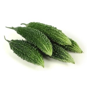 0005200_karela-bitter-melon_510 0005200_karela-bitter-melon_510