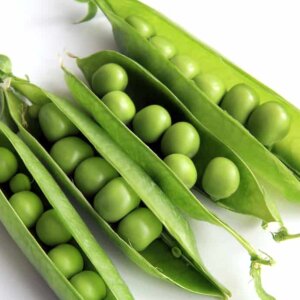 Peas-English-garden-2 Peas-English-garden-2