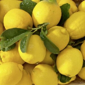 lemon-wedges-1536143689-4266904 lemon-wedges-1536143689-4266904