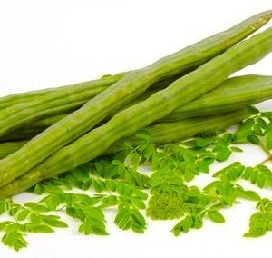 moringa-pod-jpg-500x500 moringa-pod-jpg-500x500