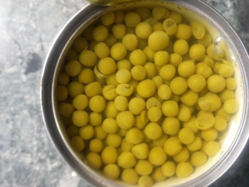Canned green peas in Tin open tin photo